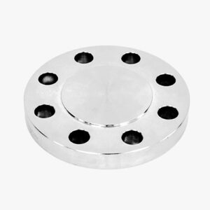 Estan pipe fittings Blind Flange RF.500x500 image