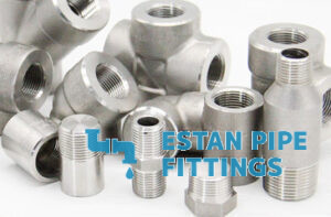 staniless steel NPT 3000Lb forged fittings image