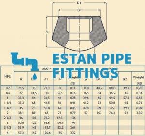 Threadolet Drawing Threadolet Fittings - ESTAN PIPE FITTINGS CO., LTD