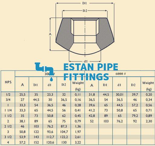 Threadolet demension chart